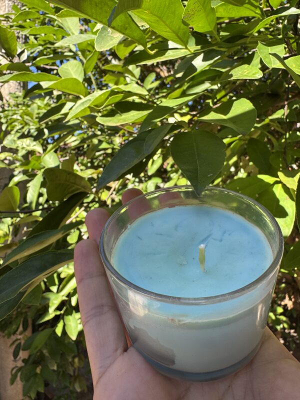 Vela aromática lavanda